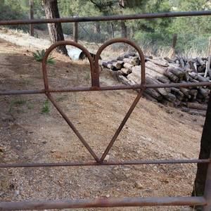 Meet your Posher, Dianne